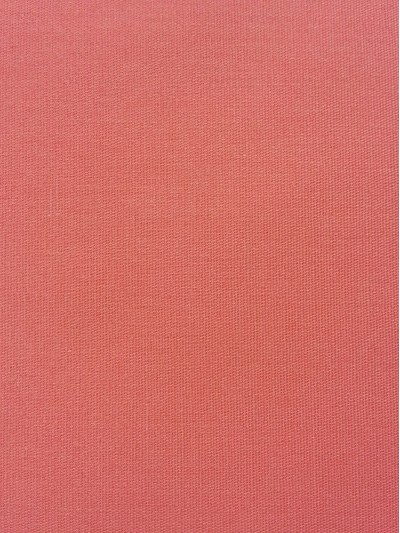 SD-KGYE  CVC  24*24  100*50   1/1 PINK 正面照